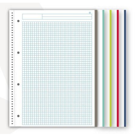 CUADERNO NAVIGATOR A4+ 120h 5X5 COLORES VIVOS