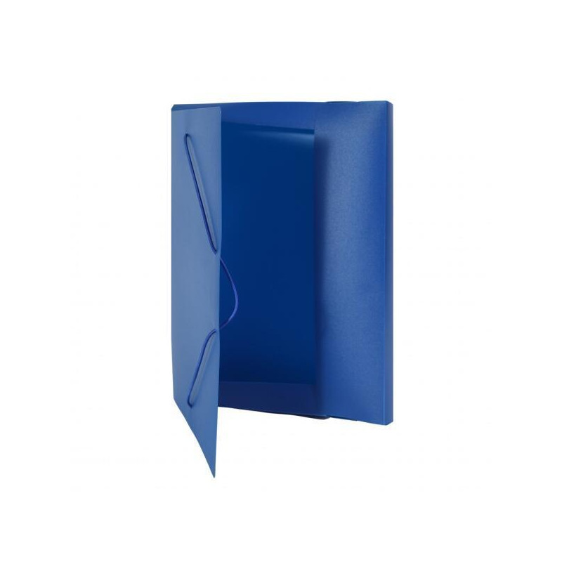 CARPETA DE GOMAS BLUERING PP A4 30mm