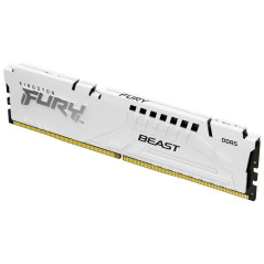 FURY BEAST MÓDULO DE MEMORIA 32 GB 1 X 32 GB DDR5