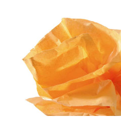 ROLLO PAPEL DE SEDA CANSON 5m