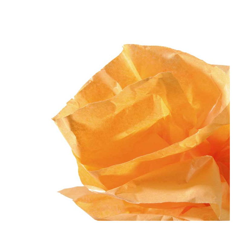 ROLLO PAPEL DE SEDA CANSON 5m ROLLO PAPEL DE SEDA CANSON 5m