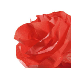 ROLLO PAPEL DE SEDA CANSON 5m