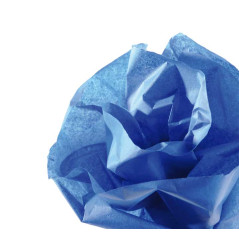 ROLLO PAPEL DE SEDA CANSON 5m