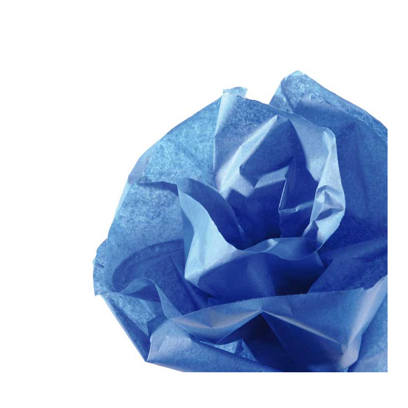 ROLLO PAPEL DE SEDA CANSON 5m ROLLO PAPEL DE SEDA CANSON 5m