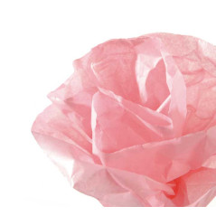 ROLLO PAPEL DE SEDA CANSON 5m