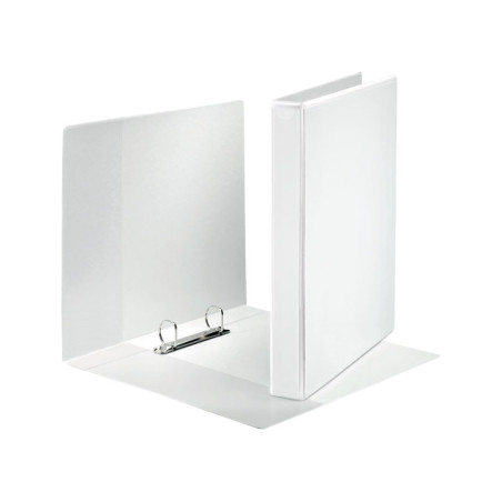 CARPETA PERSONALIZABLE ESSELTE A4 MAXI 2-25 mm