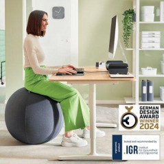 BOLA ASIENTO LEITZ ERGO ACTIVE  65cm